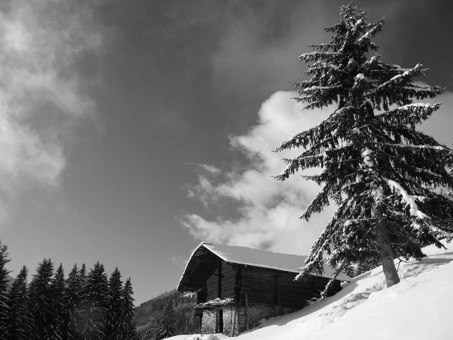 #2 Un des nombreux chalets : le Beaufortain regorge de très beaux chalets d Un des nombreux chalets : le Beaufortain regorge de très beaux chalets d'alpage, granges ...
