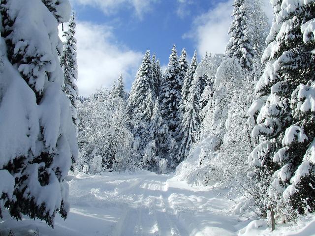 #2 Tete de Combaz : Piste 4x4 quasi damée Tete de Combaz : Piste 4x4 quasi damée