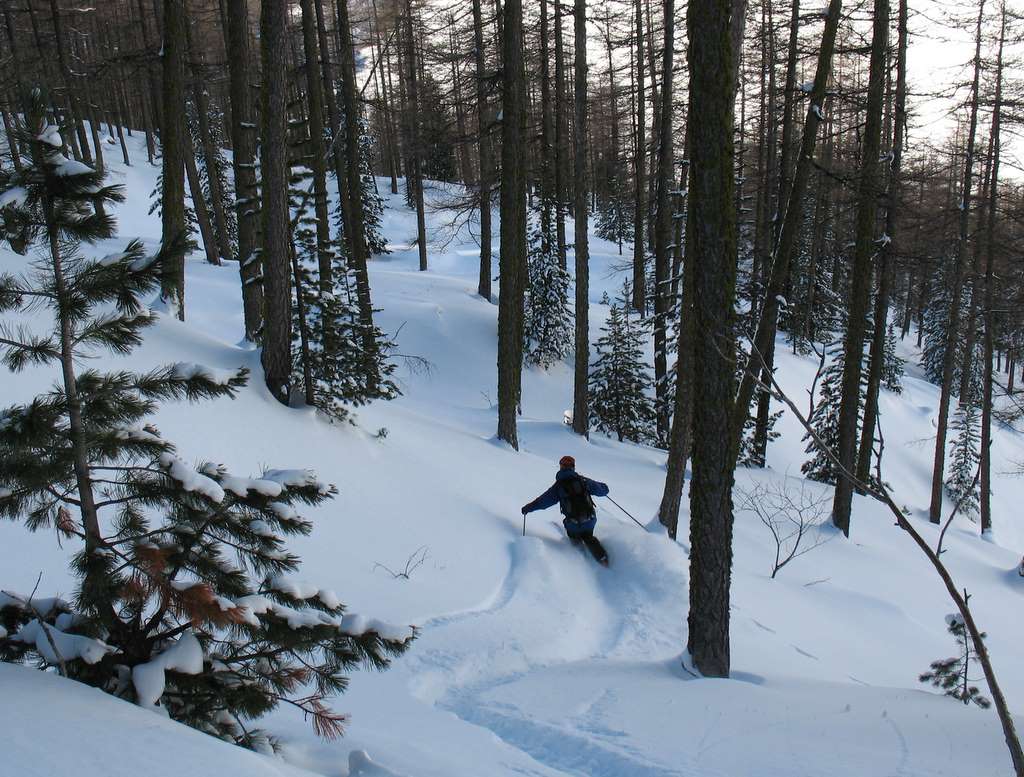Bois de l'Issartin : Ski ludique en forêt