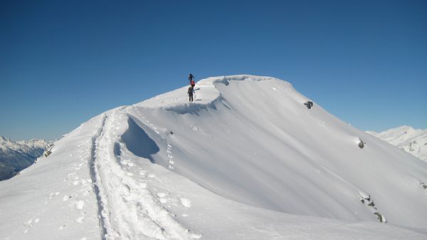 #3 Sommet du jour : Les "cornichons" sur leur perchoir Sommet du jour : Les "cornichons" sur leur perchoir