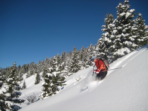 #5 L L'autruche ;-)) : Il y a la dose de neige tout de même...