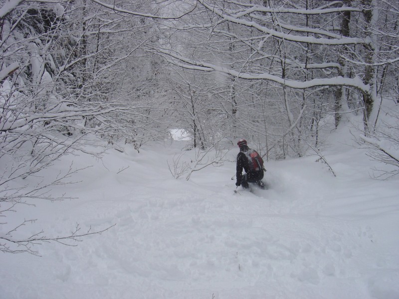 #5 Fin de la descente : finalement pas tant de ski sanglier que ça! Fin de la descente : finalement pas tant de ski sanglier que ça!
