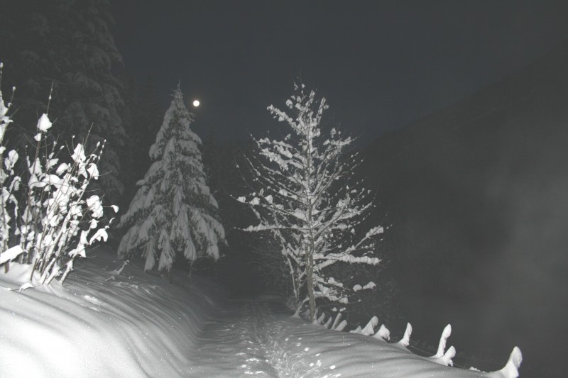 #1 perquelin : clair de lune 7 h du mat - 10 ° perquelin : clair de lune 7 h du mat - 10 °
