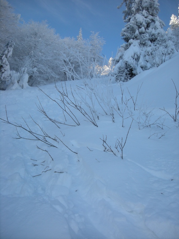 descente des Revols : neige encore bien froide dans la descente vers les Revols