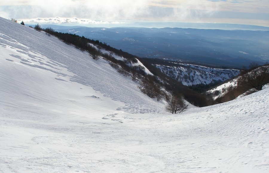 #3 Combe sud : Il y en a encore plus que dimanche dernier Combe sud : Il y en a encore plus que dimanche dernier