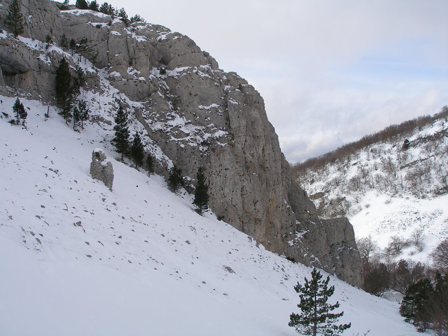 #5 Combe des Trois Eaux : Peu après la jonction avec la combe Fiole Combe des Trois Eaux : Peu après la jonction avec la combe Fiole