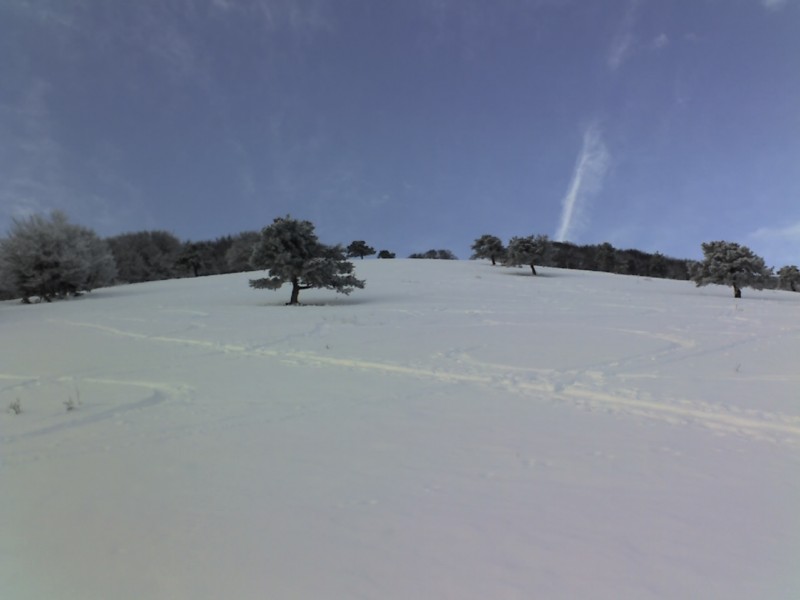 #1 sortie du brouillard : enfin sortie du brouillard sortie du brouillard : enfin sortie du brouillard