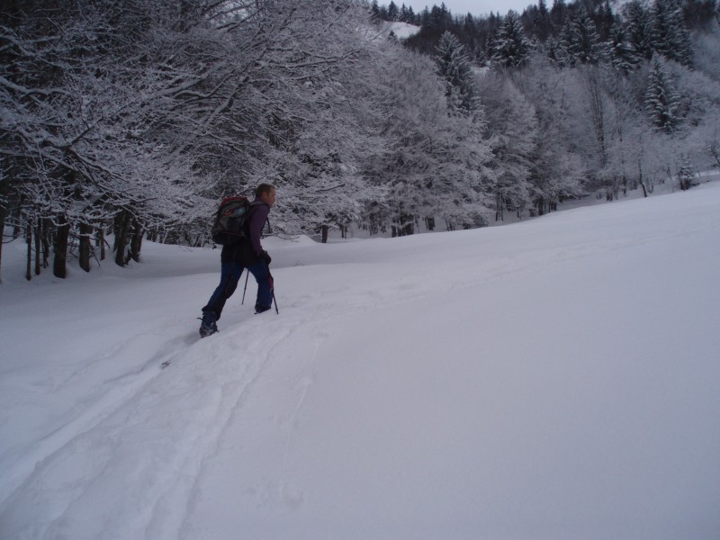 #1 Rochers de Chalves : Belle ambiance hivernale dans la clairière Rochers de Chalves : Belle ambiance hivernale dans la clairière