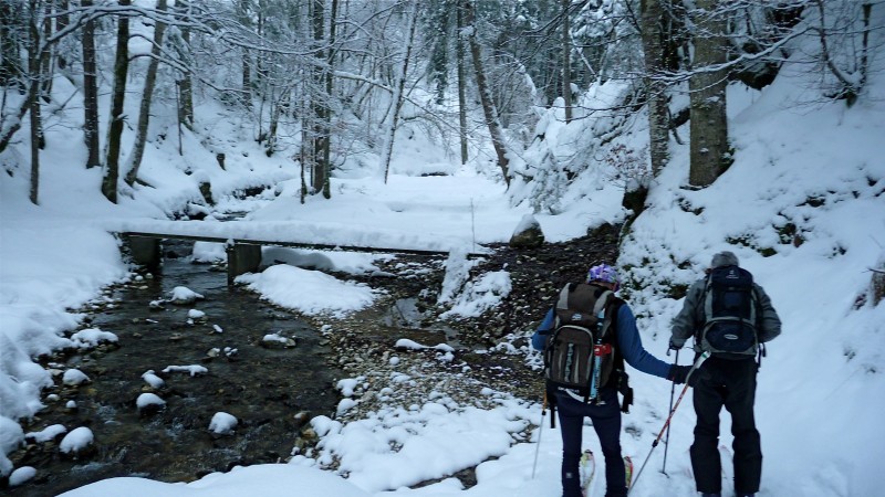 #3 passerelle : traversée de la Tenaison passerelle : traversée de la Tenaison