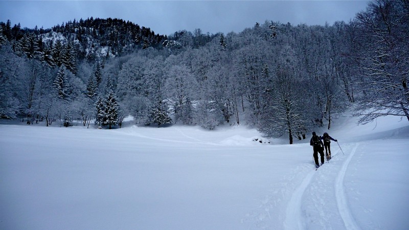 #4 Clairière vers 1250m : plus simple dans les traces! Clairière vers 1250m : plus simple dans les traces!