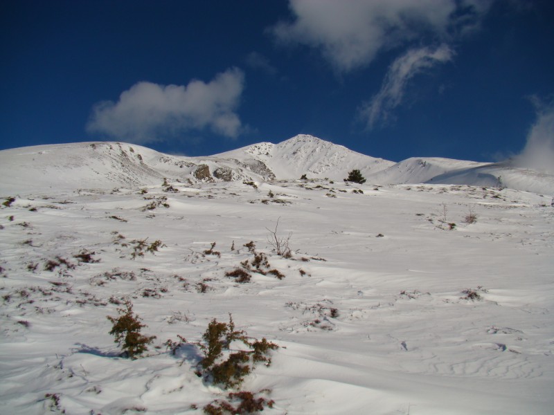 #3 combe ouest : le vent a bien rempli la combe combe ouest : le vent a bien rempli la combe