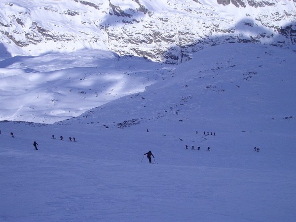 Montée au Grand Paradis : La chenille processionaire sur l'itinéraire "normal" du Grand Paradis, depuis le refuge Victor Emmanuel.