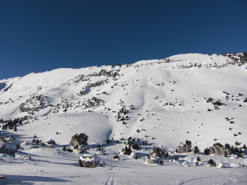 #3 Lances de Malissard : Déjà bien tracées Lances de Malissard : Déjà bien tracées