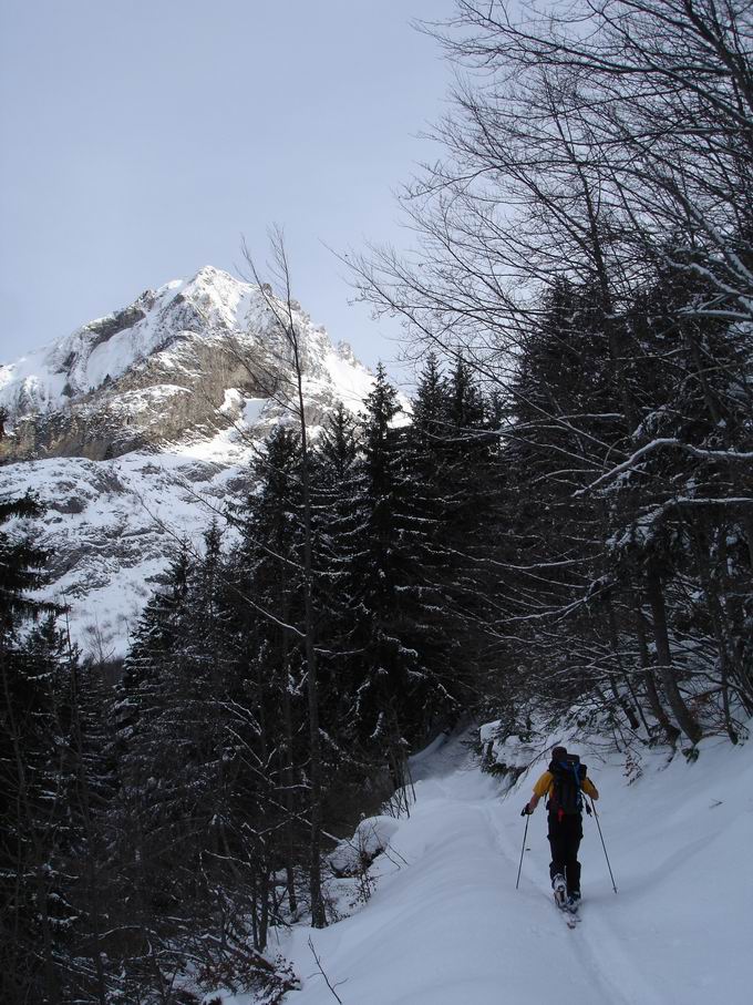 #6 Sentier forestier : Dans la traversée au dessus des Lanches Sentier forestier : Dans la traversée au dessus des Lanches