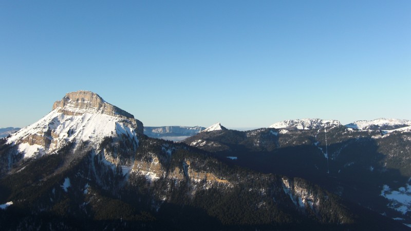 #3 Chartreuse Chartreuse