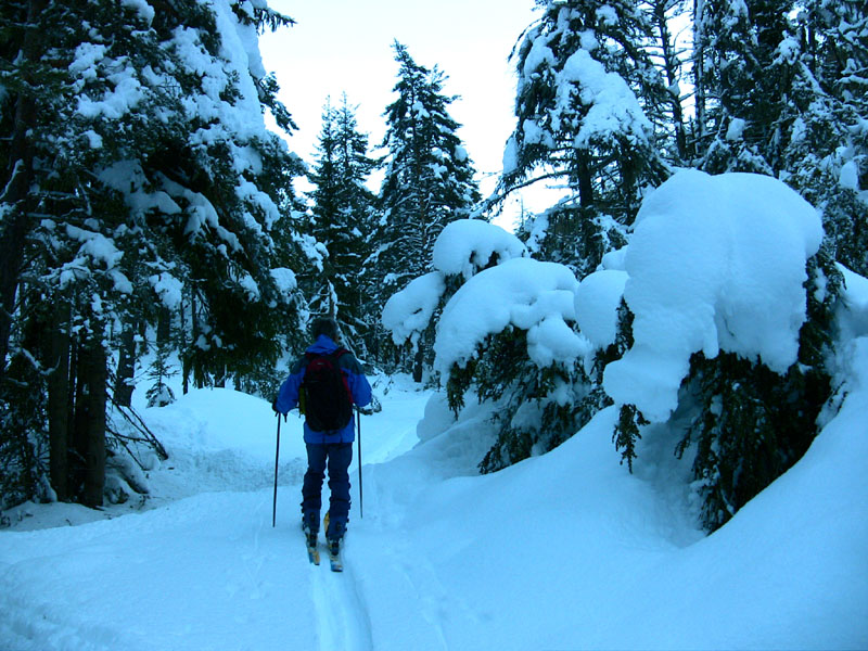 #3 Vallon du chaudan : Quantité de neige exceptionnelle à 1 heure de la cote. Vallon du chaudan : Quantité de neige exceptionnelle à 1 heure de la cote.