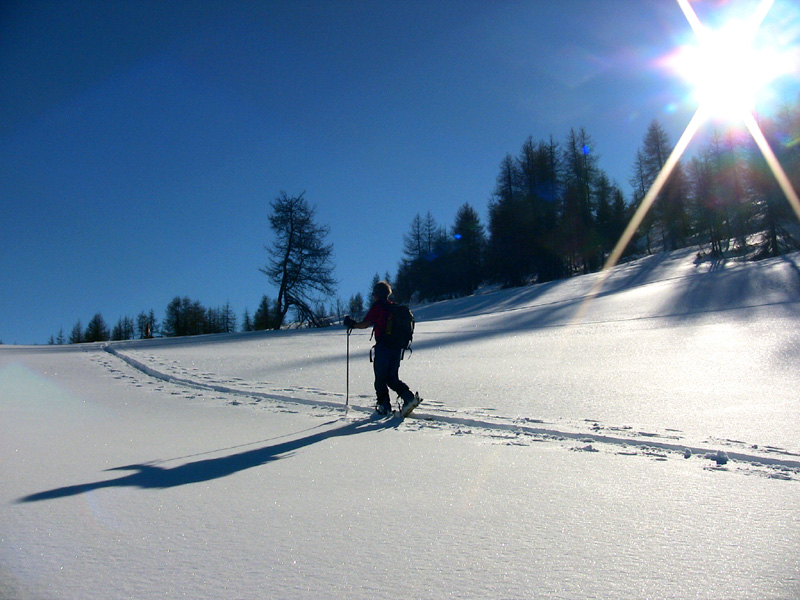#4 Sous le Pommier : Belle trace, neige encore légère Sous le Pommier : Belle trace, neige encore légère