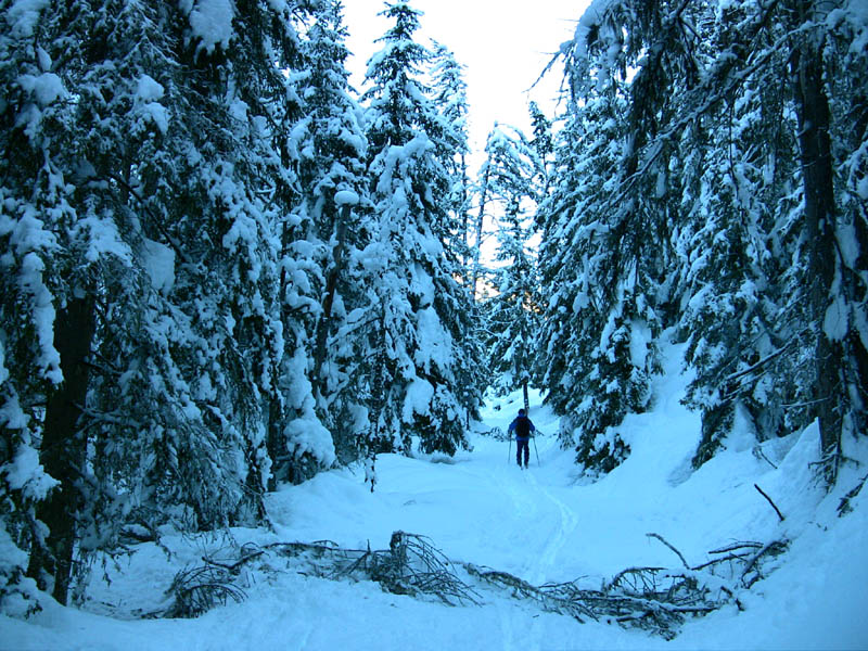 #2 Départ Vallon du chaudan : Super enneigement, 1,20m à partir de 1300m Départ Vallon du chaudan : Super enneigement, 1,20m à partir de 1300m