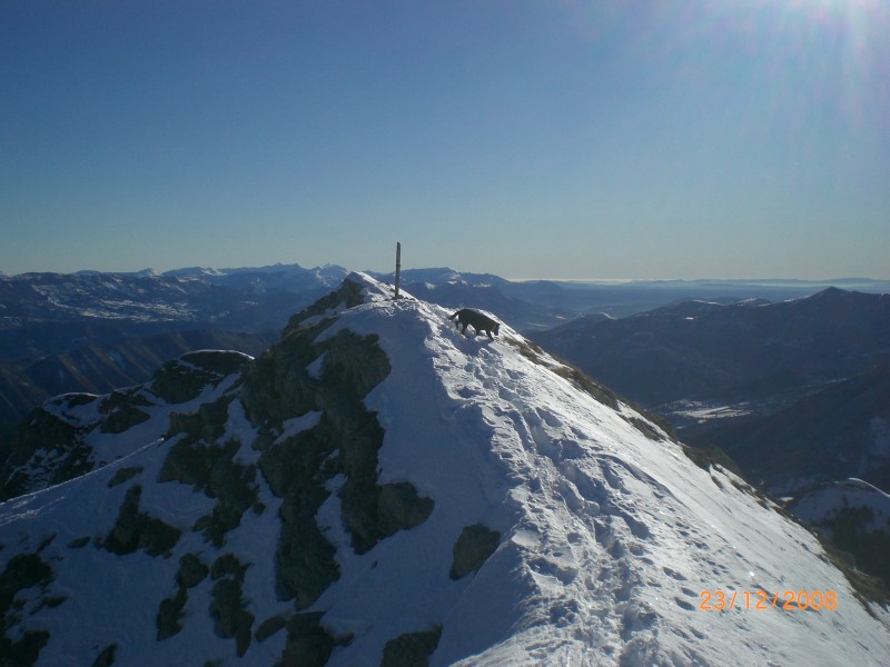 #7 sommet de la grande Cloche : Au loin, on perçoit le Dignois. sommet de la grande Cloche : Au loin, on perçoit le Dignois.