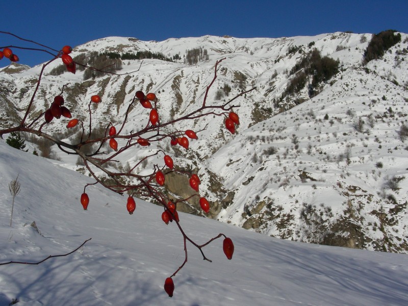 #3 Le Queyrelet : Le Queyrelet et les Grattes Culs! Le Queyrelet : Le Queyrelet et les Grattes Culs!