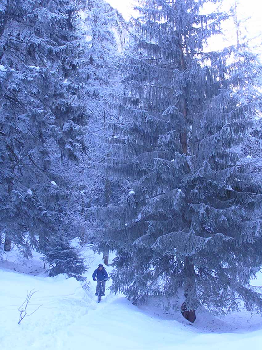 ca pelle : VTT en chartreuse