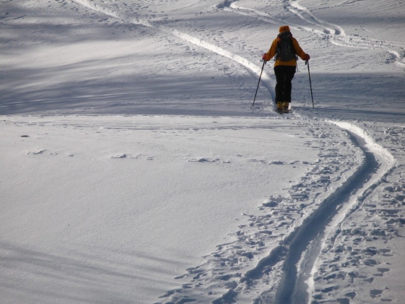 #2 dans la foret : la poudre pour la descente dans la foret : la poudre pour la descente