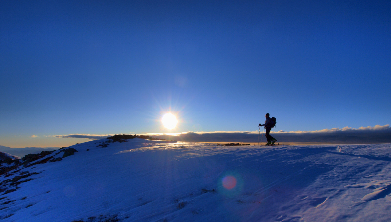 #1 Derniers rayons : Toz... pensif ou contemplatif ? Derniers rayons : Toz... pensif ou contemplatif ?