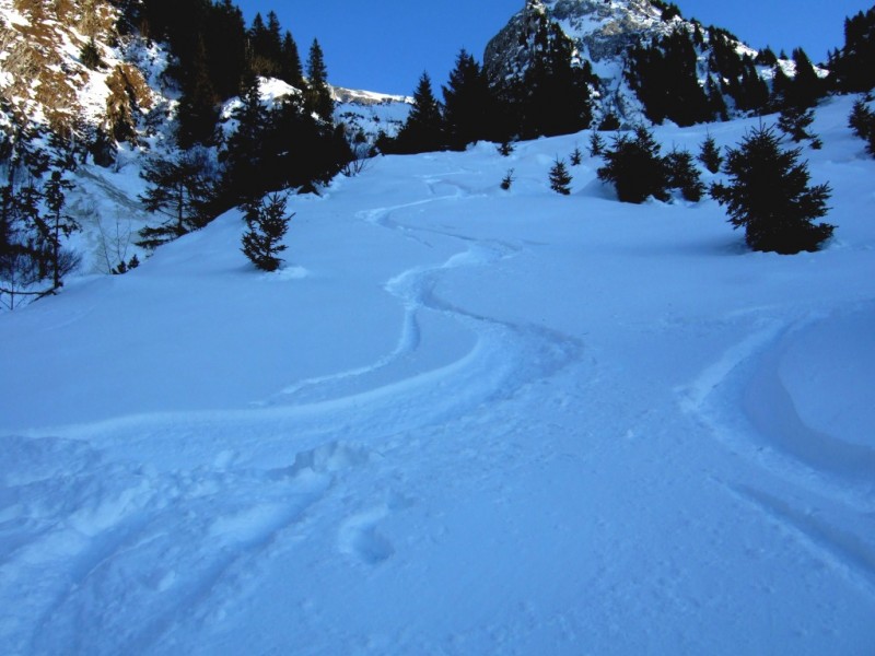 #6 Combe de Foiroux : Bonne poudreuse dans les 300m inférieurs de la descente. Combe de Foiroux : Bonne poudreuse dans les 300m inférieurs de la descente.