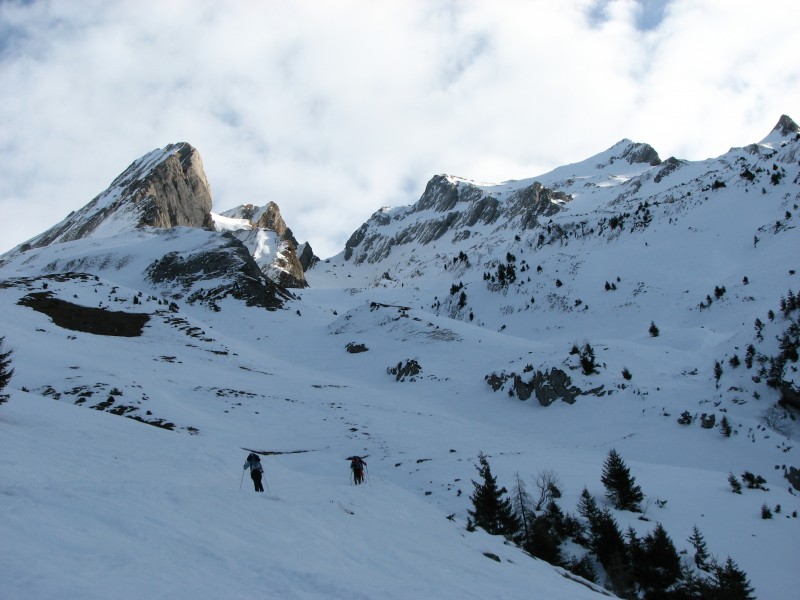 #1 combe de la Blonnière : à la sortie de la forêt, ça parait bien trafolé! au loin le sommet (à Dte) sous un timide rayon de soleil combe de la Blonnière : à la sortie de la forêt, ça parait bien trafolé! au loin le sommet (à Dte) sous un timide rayon de soleil
