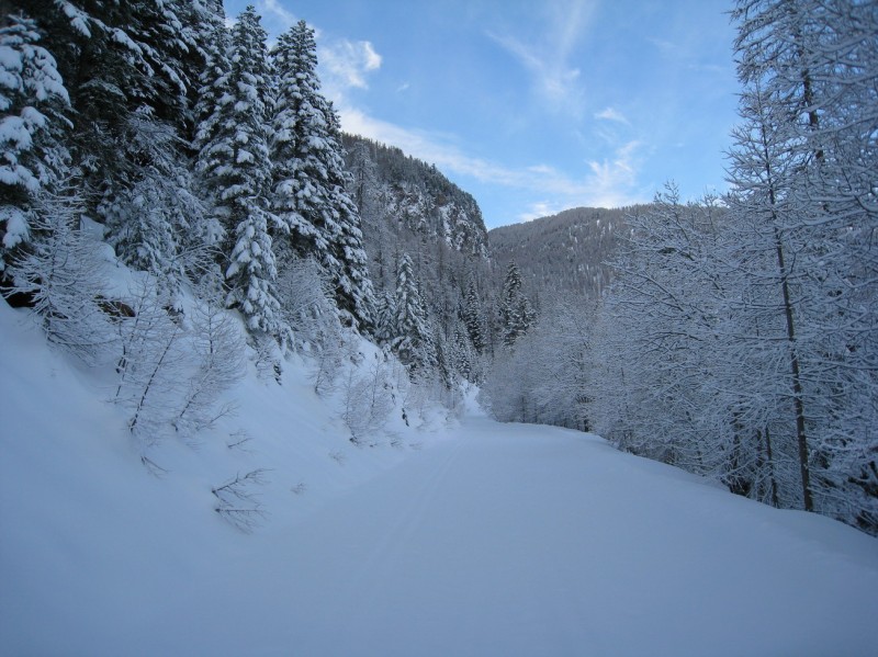 #1 1 - Route forestière : La route forestière au départ 1 - Route forestière : La route forestière au départ