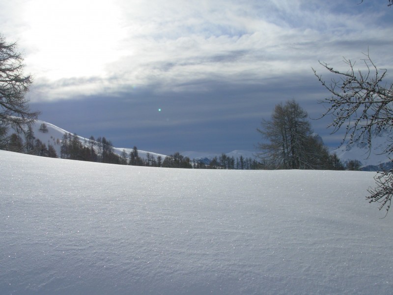 Ca y est ça se déchire : Mille-feuille: une tranche de ciel bleu+une tranche de ciel gris+une tranche de mélèzes+une grosse tranche de poudre!