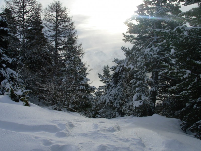 Montée dans les sapins : Ambiance canadienne pour ce premier janvier 2009