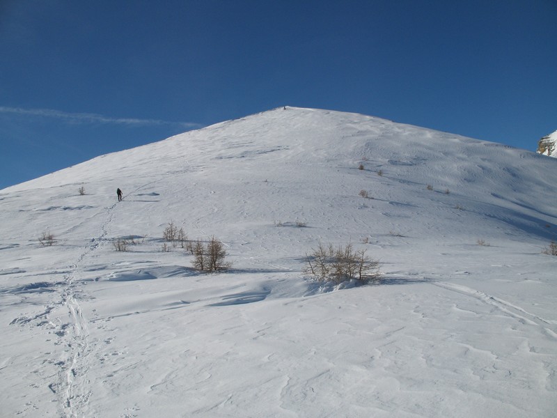 #1 Montée finale : pour une fois qu Montée finale : pour une fois qu'il y a de la neige et qu'elle n'est pas tôlée