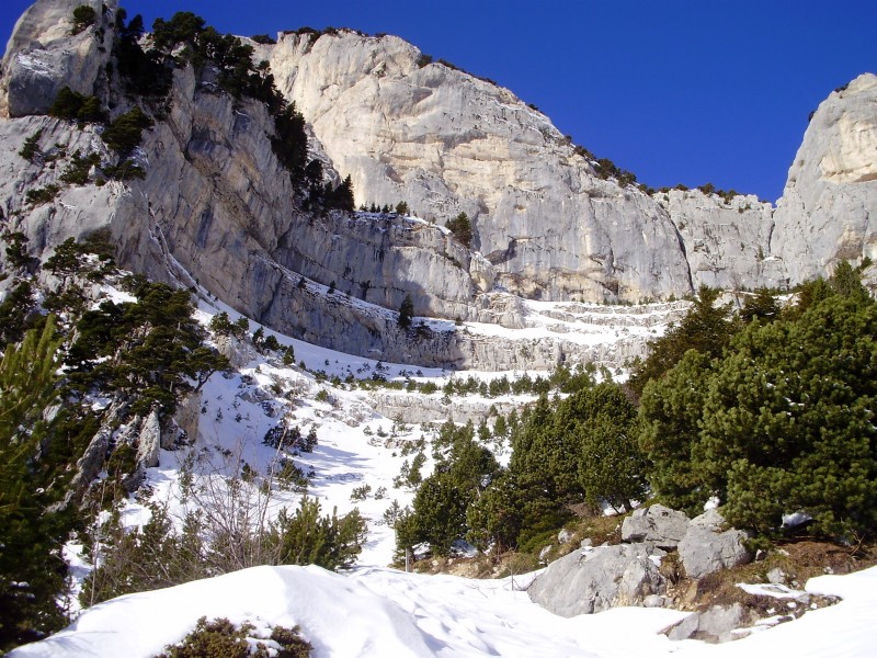 #1 Cirque de l Cirque de l'Aup du Seuil : Étonnant lorsqu'on le découvre en sortant de la forêt, et agréable à remonter.