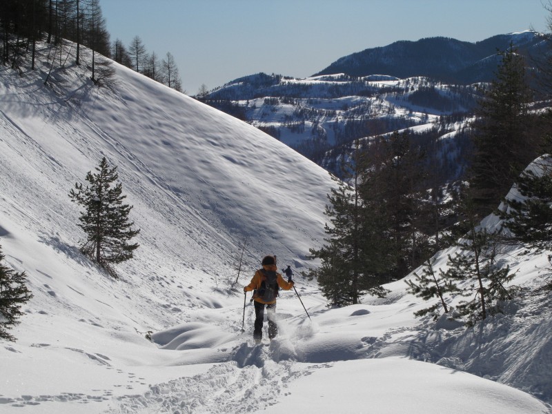 #7 single track : retour sans pousser single track : retour sans pousser