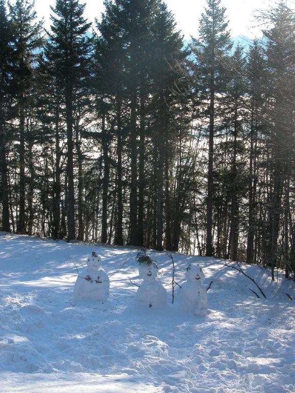 #1 Bonhommes de neige : Ils sont pas beaux ? Bonhommes de neige : Ils sont pas beaux ?