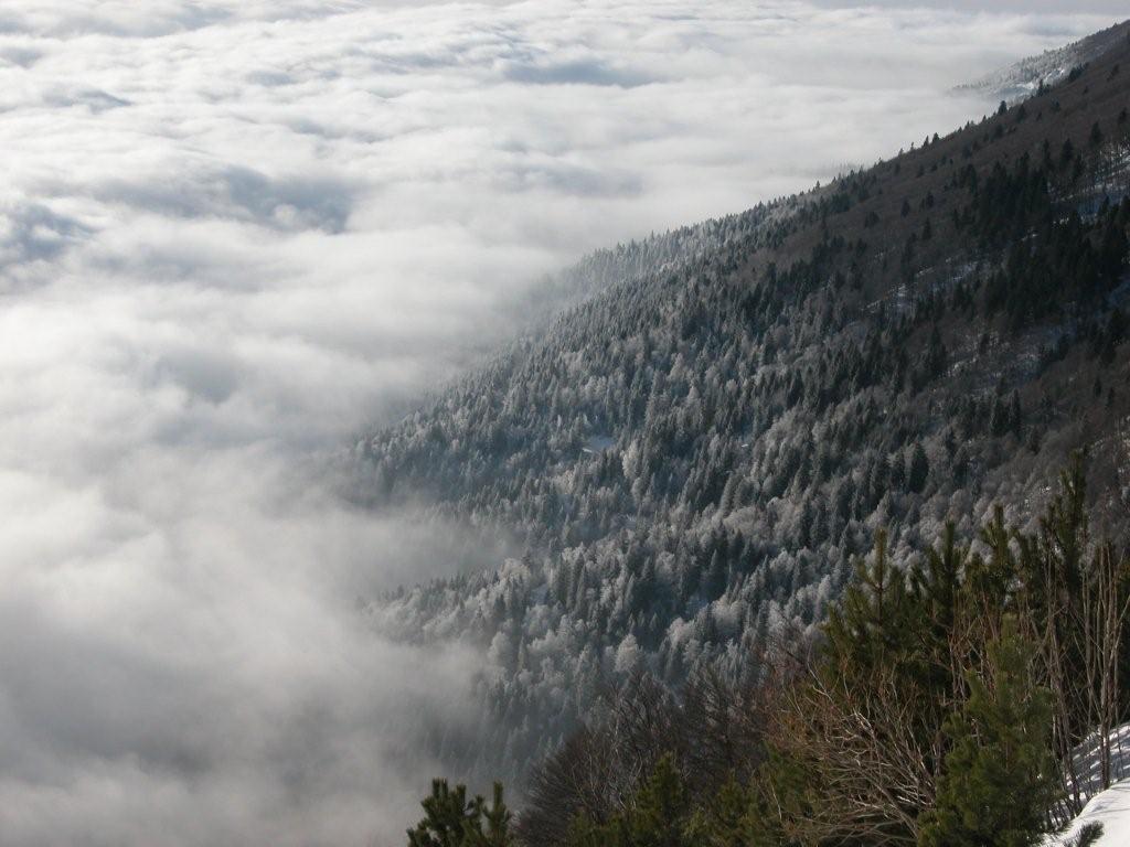 #2 Mer de nuages : Le givre indique la hauteur de la couche de nuages Mer de nuages : Le givre indique la hauteur de la couche de nuages