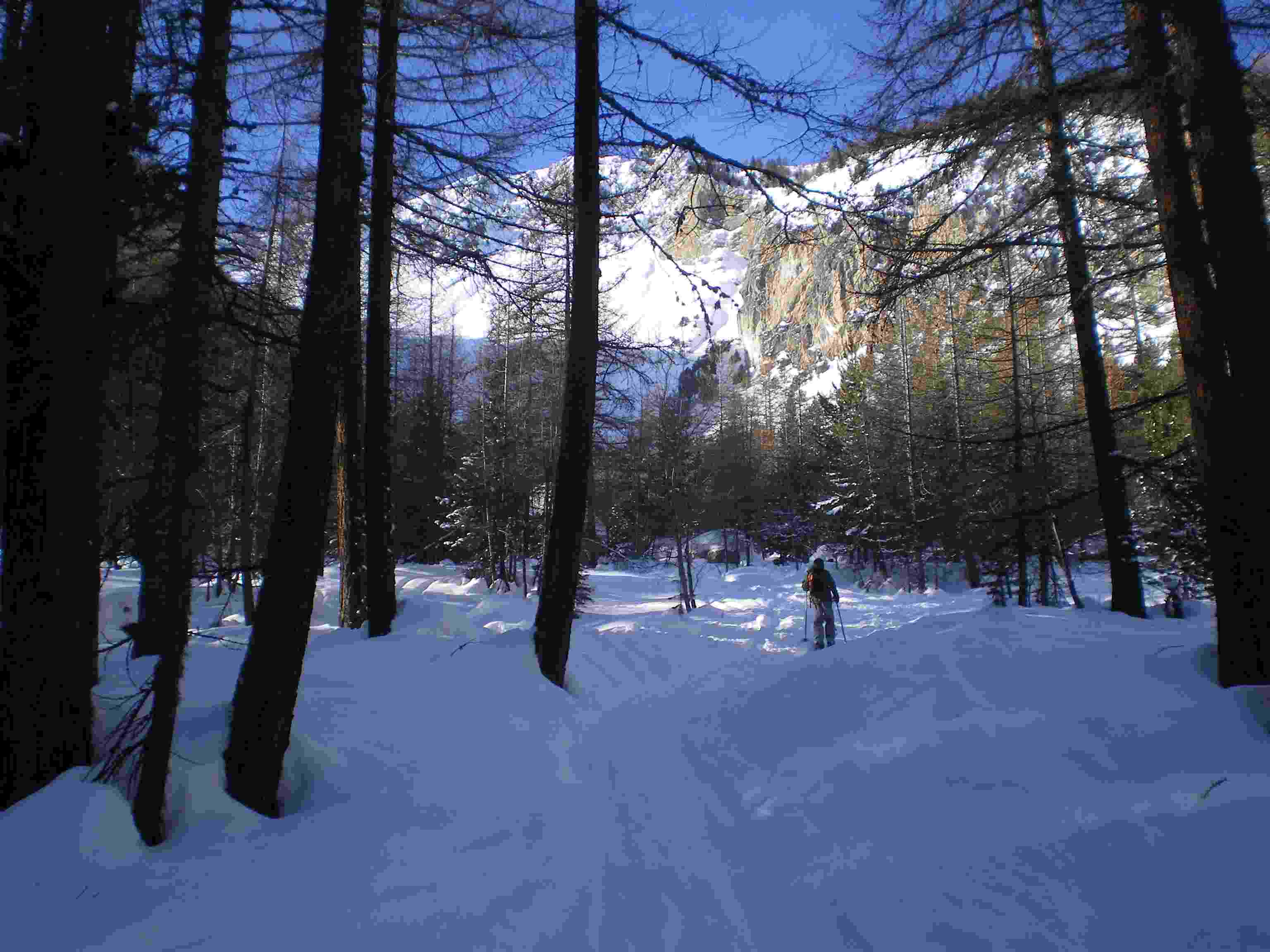 #1 Départ : Le début de la montée se fait en forêt Départ : Le début de la montée se fait en forêt