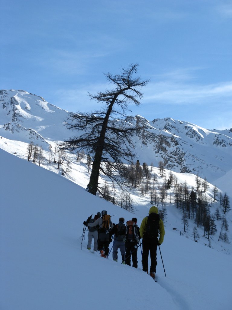 #1 Montée contemplative : Dans le vallon du torrent de Ségure - Bérgerie invisible Montée contemplative : Dans le vallon du torrent de Ségure - Bérgerie invisible