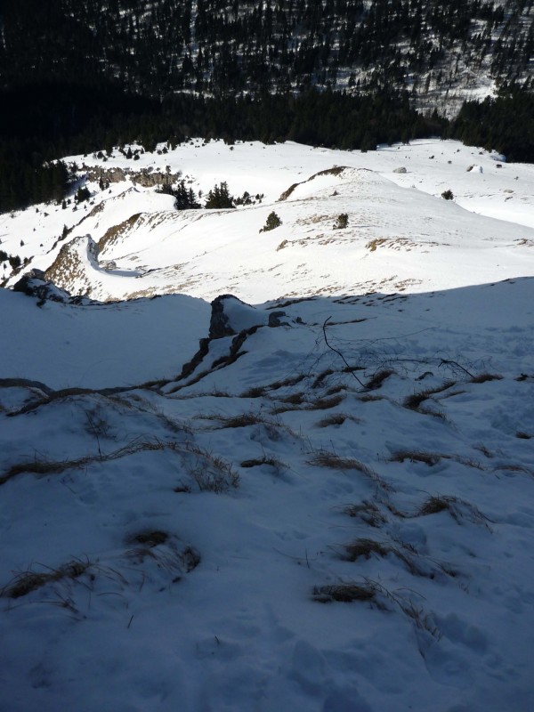 #2 couloir : un peu d couloir : un peu d'herbe