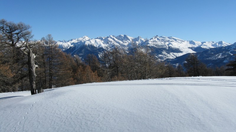 #3 A la sortie de la forêt : grand ciel bleu! A la sortie de la forêt : grand ciel bleu!