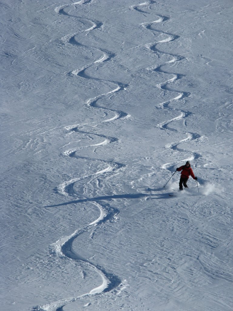 #1 Gardiole de l Gardiole de l'Alp NW : Excellente neige même en dehors des mélèzes