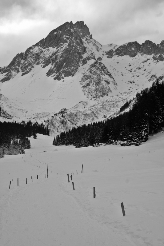 #1 col des chasseurs : aiguilles de la Pennaz et à droite le col des chasseurs vus depuis le long plat sous les chalets de Balme col des chasseurs : aiguilles de la Pennaz et à droite le col des chasseurs vus depuis le long plat sous les chalets de Balme