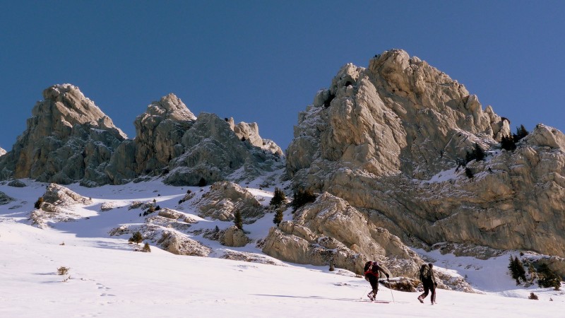 #1 Lances de mallissard : Oh ma chartreuse !! Lances de mallissard : Oh ma chartreuse !!