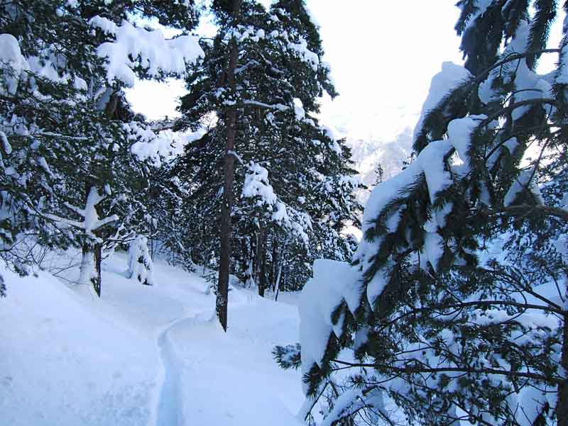 VIAL : La trace de montée est une tranchée et plus je monte plus c'est profond.