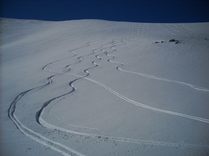 #3 Pente NE Pepoiri : De belles traces (Gabriel, ca ne se fait pas de tout couper... c Pente NE Pepoiri : De belles traces (Gabriel, ca ne se fait pas de tout couper... c'est gacher... mais merci pour les photos)