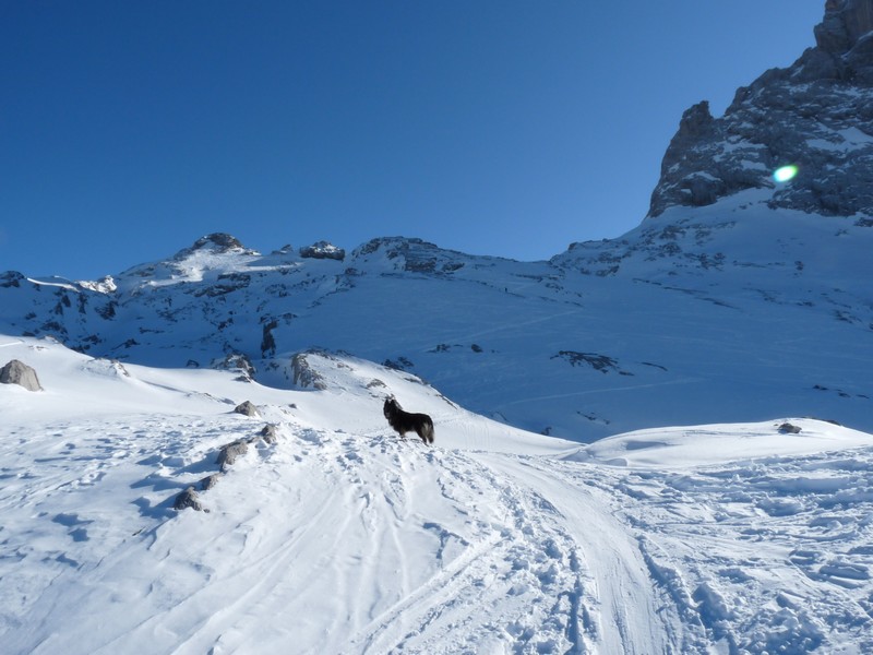 #3 Vue sur le sommet : Manque un peu de neige Vue sur le sommet : Manque un peu de neige