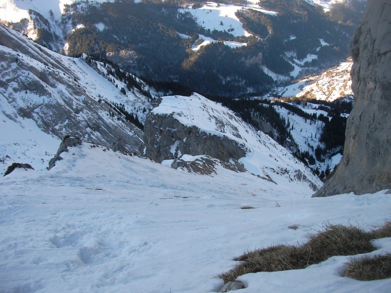 #6 Le haut du couloir Chauchefoin : Le haut du couloir Chauchefoin. La pelouse commence à pousser.... Le haut du couloir Chauchefoin : Le haut du couloir Chauchefoin. La pelouse commence à pousser....
