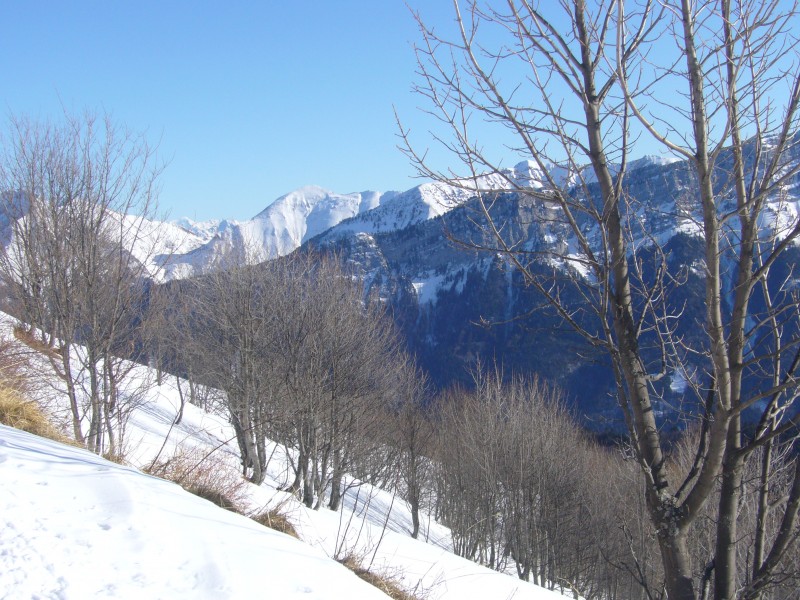 #1 face W des Arces : En montant au col de la cochette face W des Arces : En montant au col de la cochette