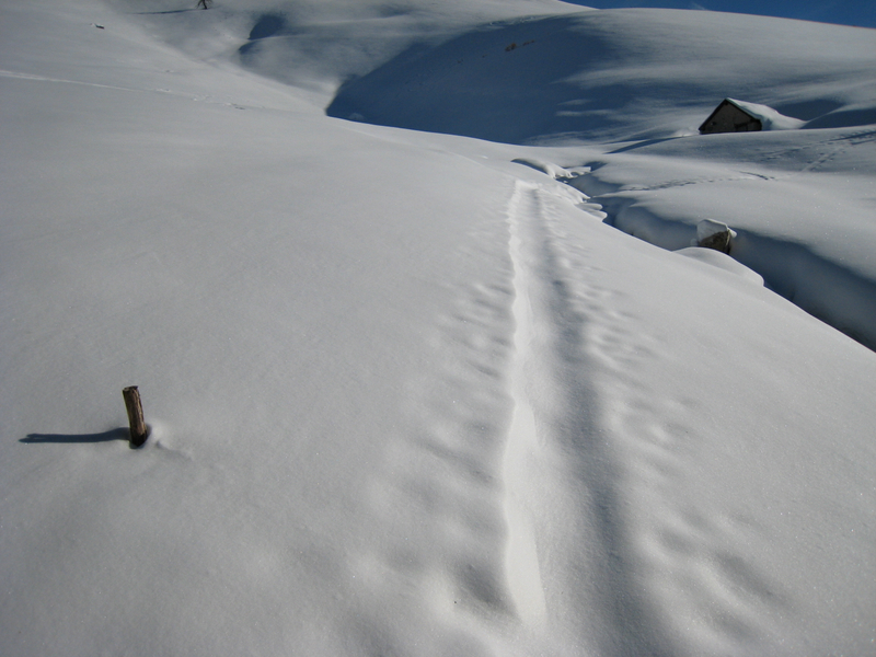 #1 Bergerie Sainte Marie : on suit une ancienne trace Bergerie Sainte Marie : on suit une ancienne trace